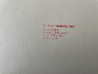 Andy warhol - afbeelding 4 van  5
