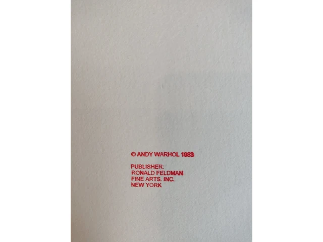 Andy warhol - afbeelding 9 van  9