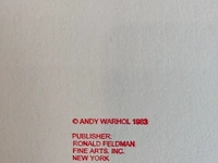 Andy warhol - afbeelding 9 van  9