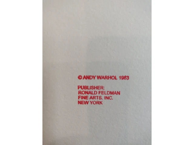 Andy warhol - afbeelding 7 van  7