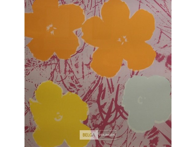 Andy warhol - afbeelding 1 van  2