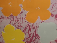 Andy warhol - afbeelding 1 van  2