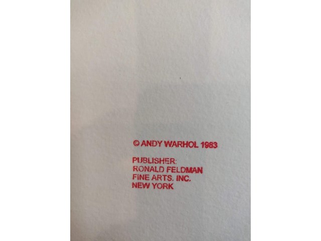 Andy warhol - afbeelding 8 van  8