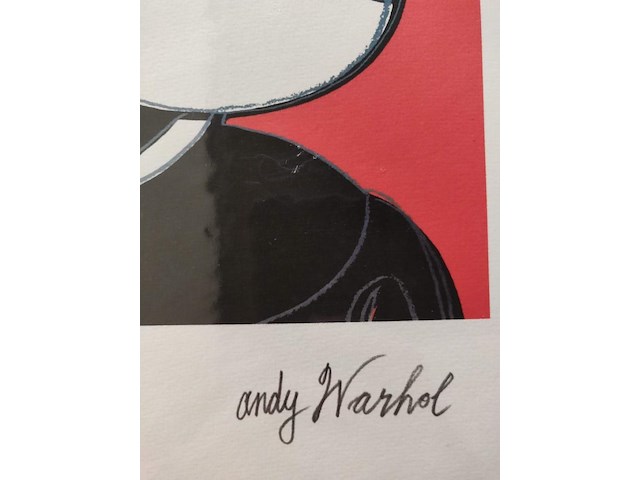Andy warhol - afbeelding 4 van  5