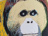 Andy warhol - afbeelding 1 van  6