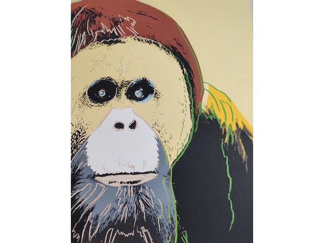 Andy warhol - afbeelding 2 van  6