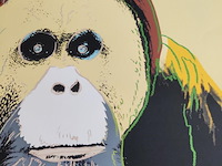 Andy warhol - afbeelding 2 van  6