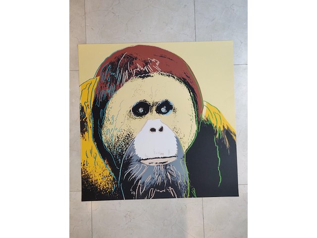 Andy warhol - afbeelding 6 van  6