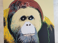 Andy warhol - afbeelding 6 van  6