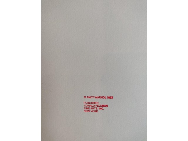 Andy warhol - afbeelding 7 van  7