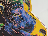 Andy warhol - afbeelding 2 van  8