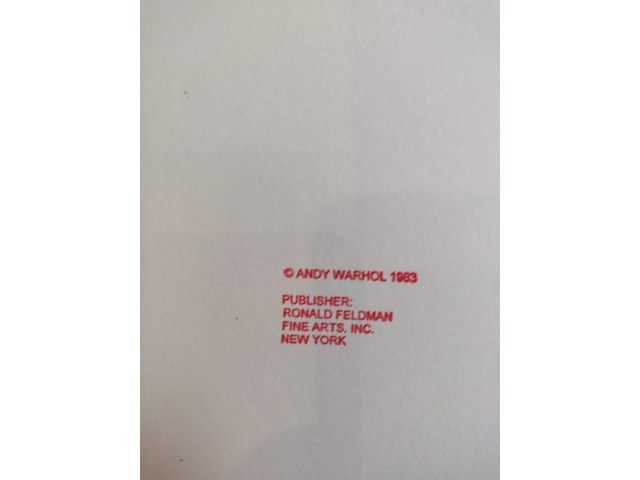 Andy warhol - afbeelding 8 van  8