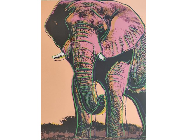 Andy warhol - afbeelding 2 van  7