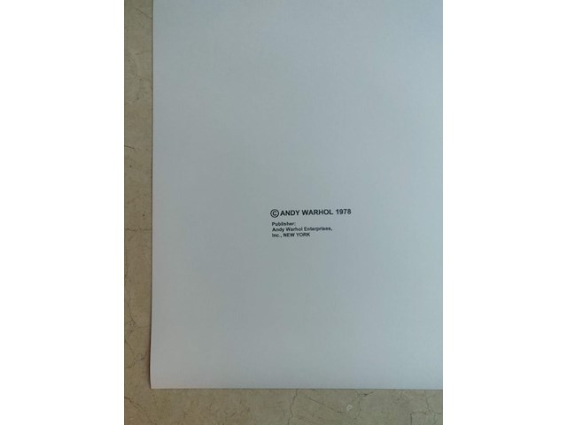 Andy warhol - afbeelding 4 van  13