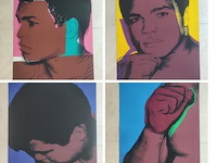Andy warhol - afbeelding 1 van  13