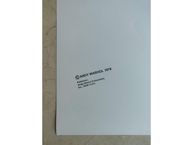 Andy warhol - afbeelding 7 van  13