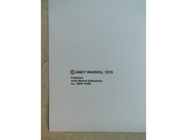 Andy warhol - afbeelding 10 van  13