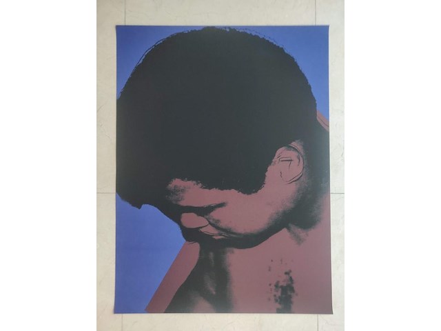 Andy warhol - afbeelding 12 van  13