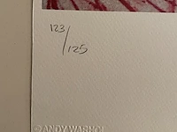 Andy warhol - afbeelding 3 van  5