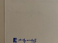 Andy warhol - afbeelding 5 van  5