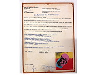 Andy warhol - afbeelding 4 van  4