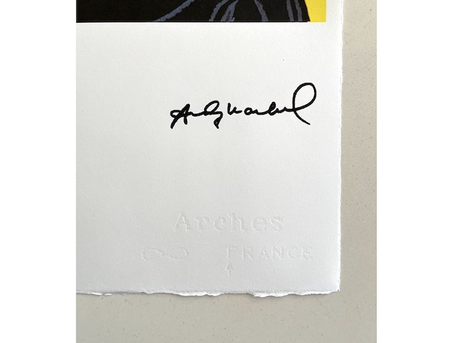 Andy warhol - afbeelding 4 van  5