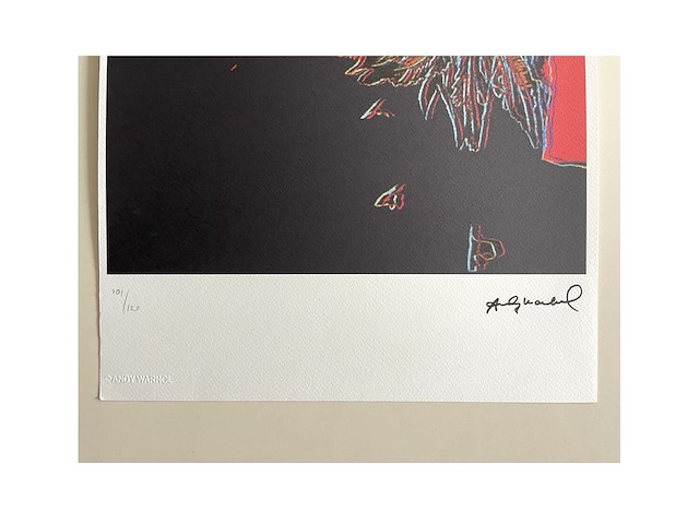 Andy warhol - afbeelding 2 van  2