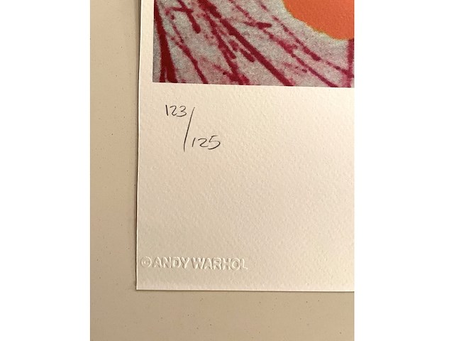 Andy warhol - afbeelding 3 van  5