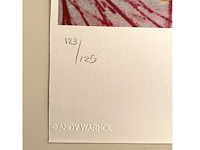 Andy warhol - afbeelding 3 van  5