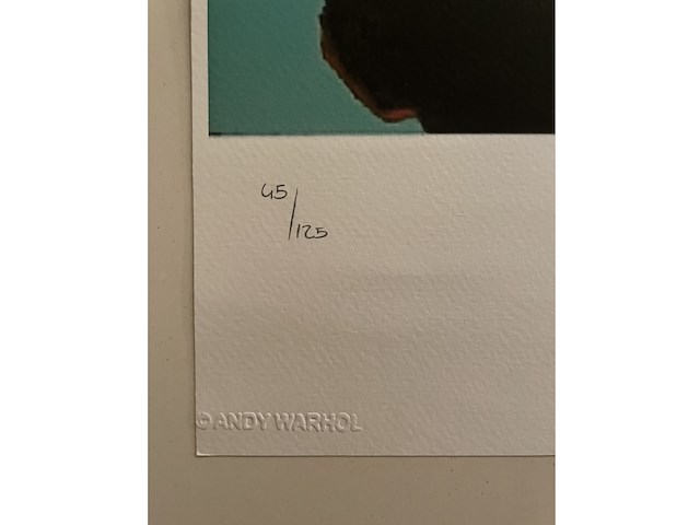 Andy warhol - afbeelding 3 van  5