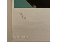 Andy warhol - afbeelding 3 van  5