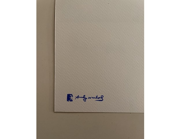 Andy warhol - afbeelding 5 van  5
