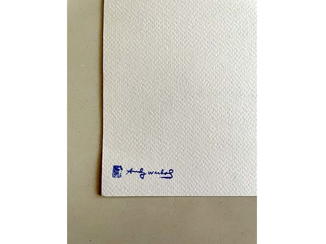 Andy warhol - afbeelding 5 van  5