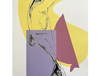 Andy warhol - afbeelding 2 van  5