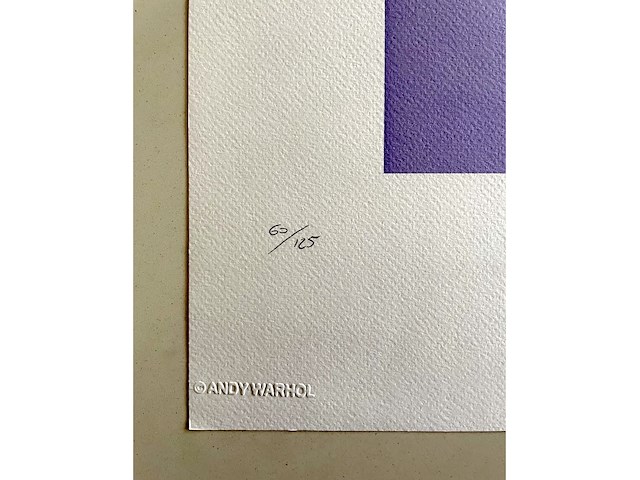 Andy warhol - afbeelding 3 van  5