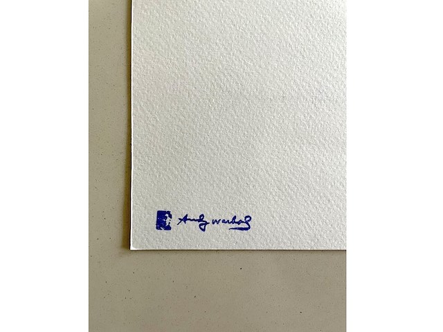 Andy warhol - afbeelding 5 van  5