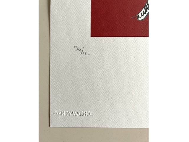 Andy warhol - afbeelding 3 van  5