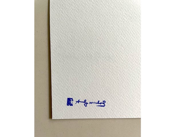 Andy warhol - afbeelding 5 van  5