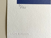 Andy warhol - afbeelding 3 van  5