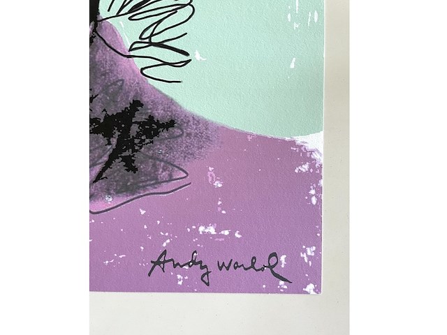 Andy warhol - afbeelding 4 van  5