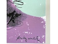 Andy warhol - afbeelding 4 van  5