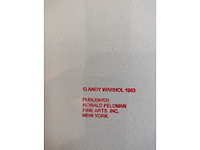 Andy warhol - afbeelding 8 van  8
