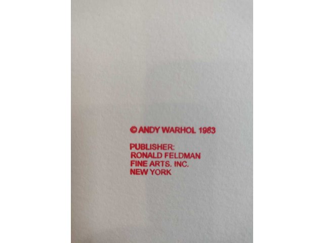 Andy warhol - afbeelding 7 van  7