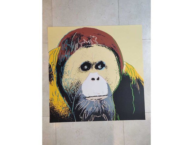 Andy warhol - afbeelding 1 van  5