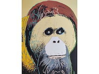 Andy warhol - afbeelding 2 van  5