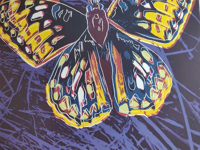 Andy warhol - afbeelding 3 van  5