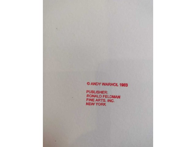 Andy warhol - afbeelding 6 van  6