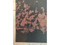 Andy warhol - afbeelding 3 van  4