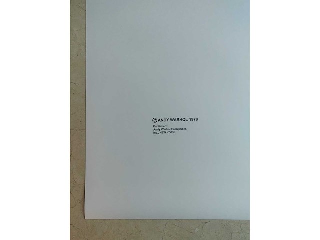 Andy warhol - afbeelding 2 van  7