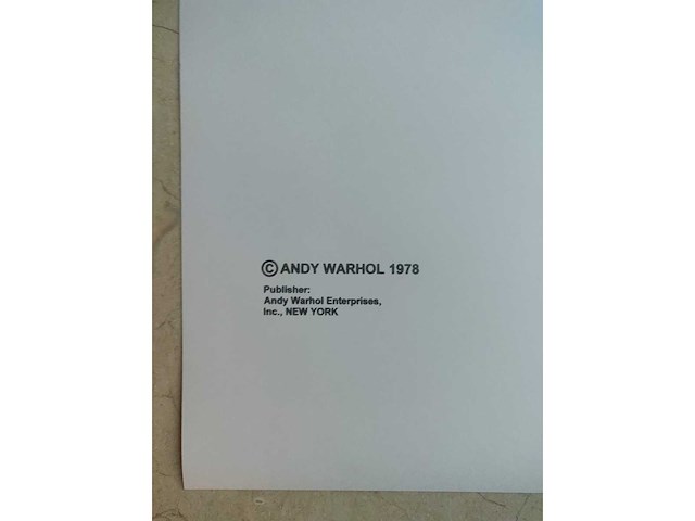 Andy warhol - afbeelding 5 van  7
